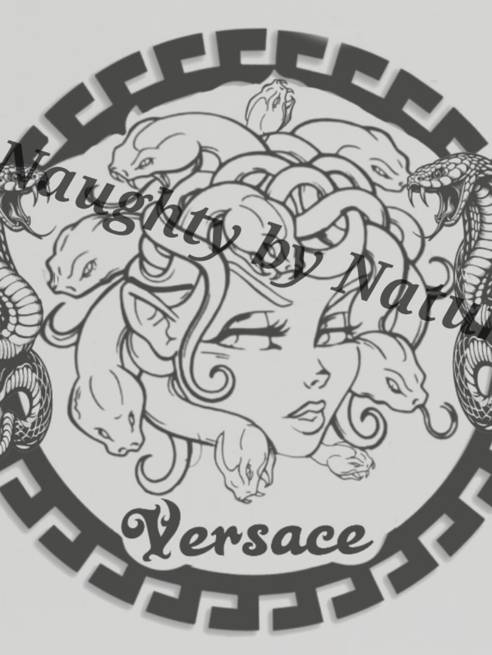 Versace Medusa Canvas Ready To Paint